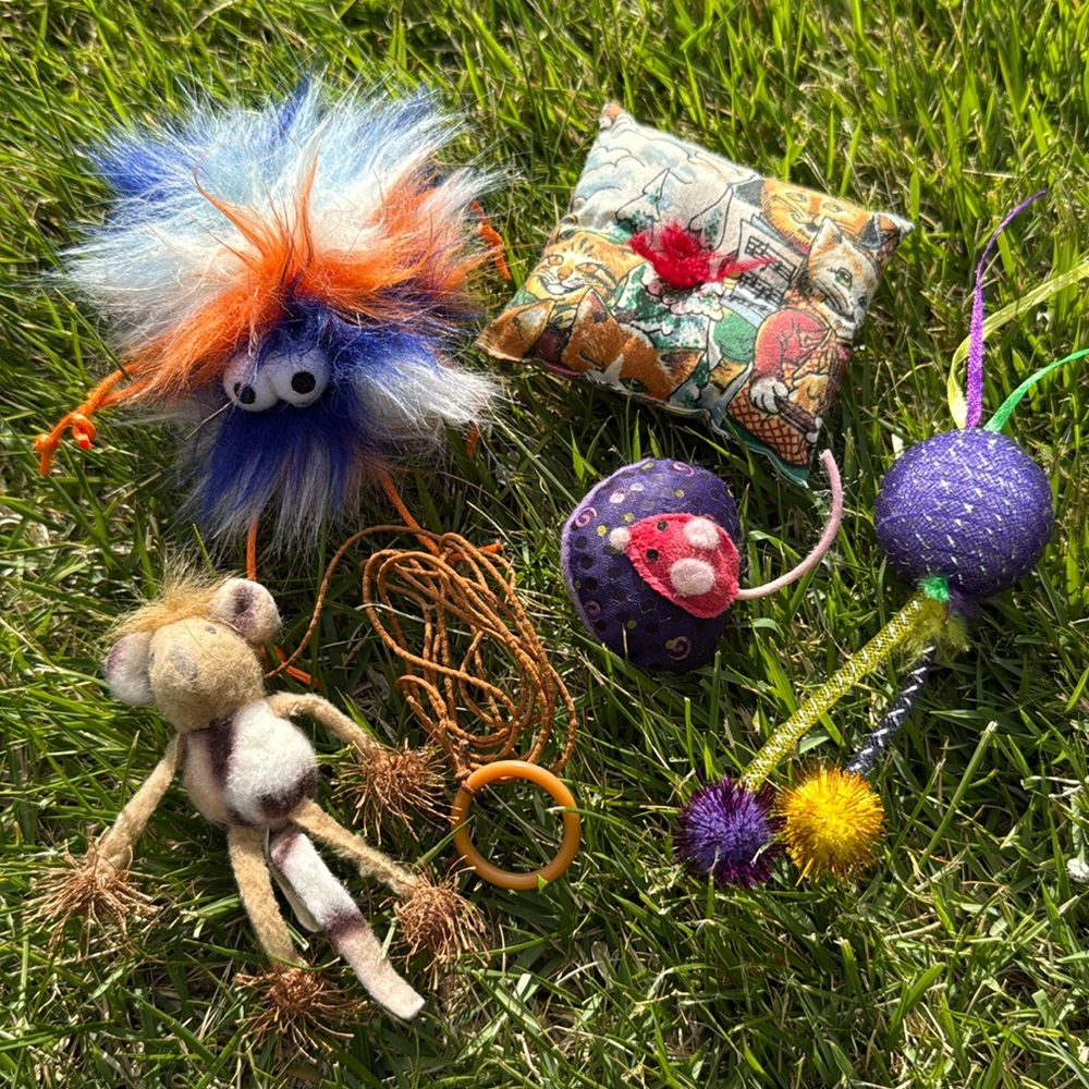 Colorful Cat Toy Set with Monkey and Pillow